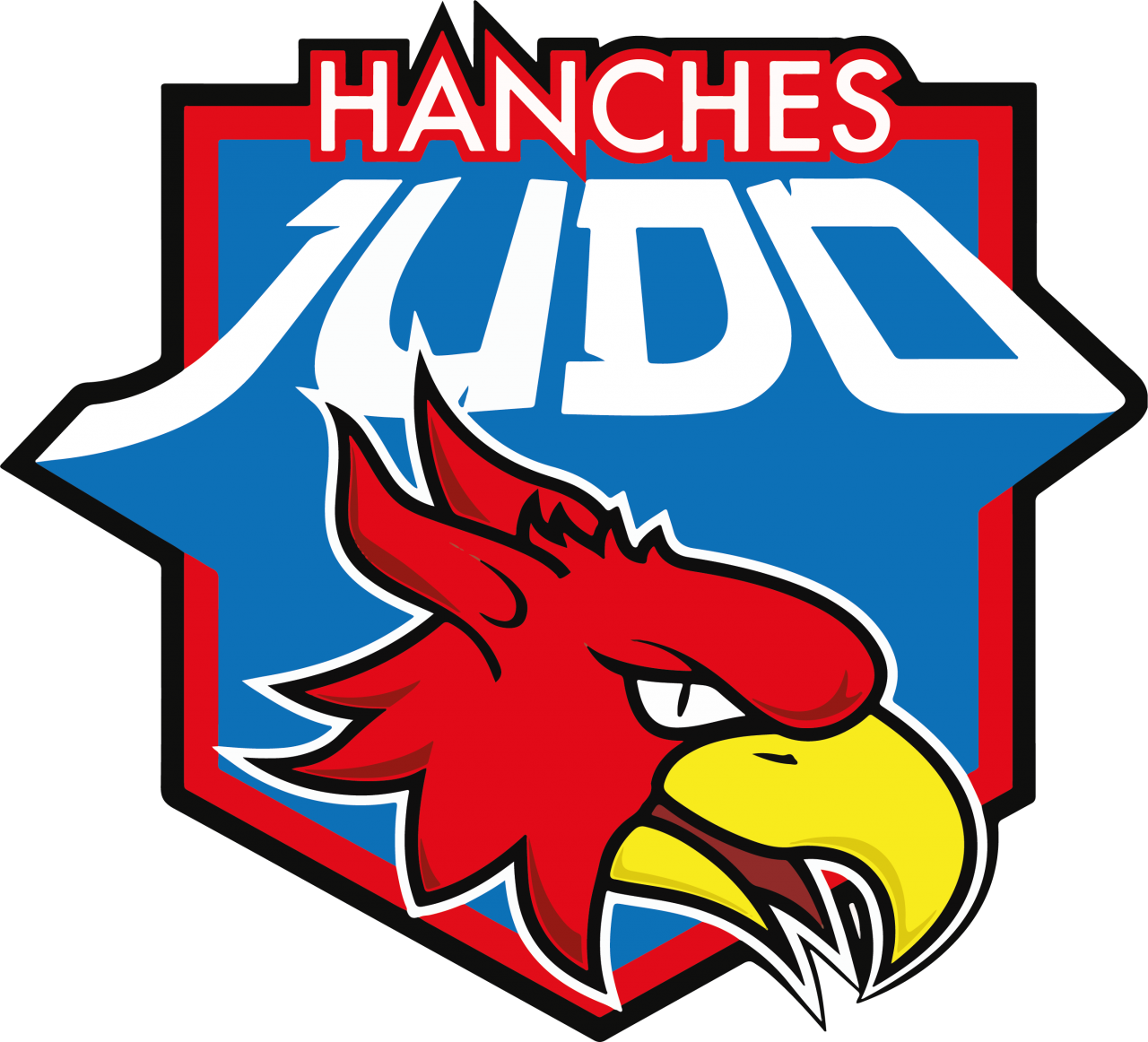 Logo AS JUDO HANCHES